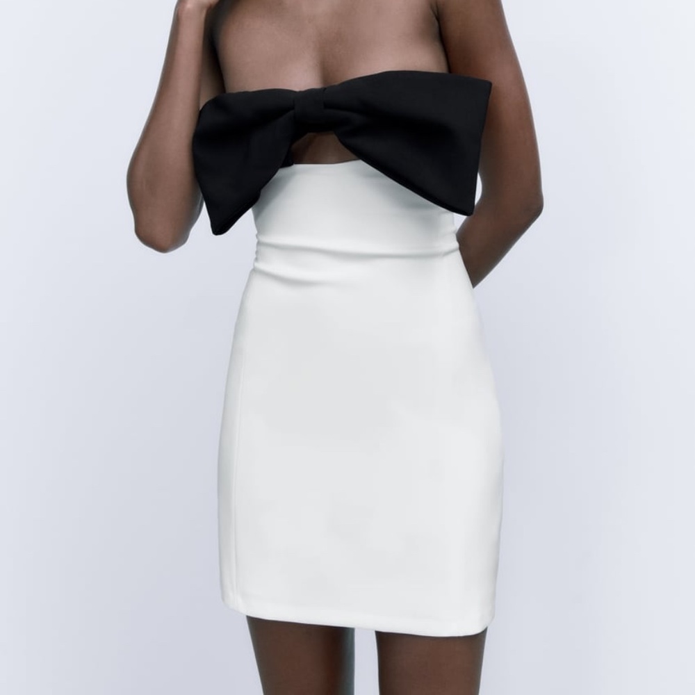 NWOT Zara 'Tied Dress'